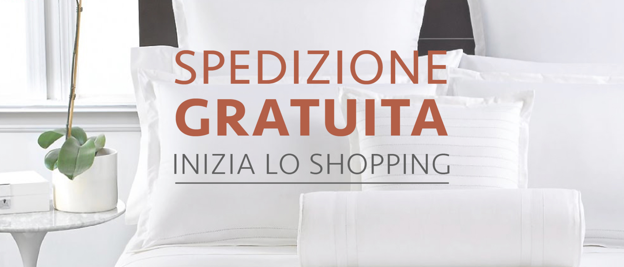 SPEDIZIONE GRATIS entro il 31.07